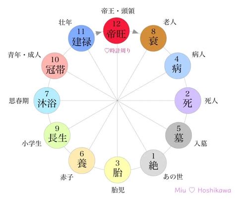 星運帝旺|四柱推命の十二運：帝旺